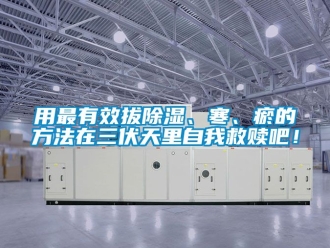 企業新聞用最有效拔除濕、寒、瘀的方法在三伏天里自我救贖吧！