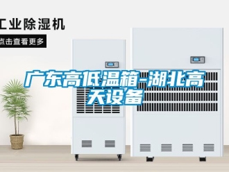 常見問題廣東高低溫箱-湖北高天設備