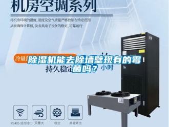 行業新聞除濕機能去除墻壁現有的霉菌嗎？