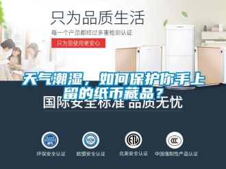 常見問題天氣潮濕，如何保護你手上留的紙幣藏品？