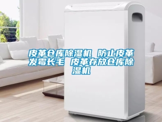 企業新聞皮革倉庫除濕機 防止皮革發霉長毛 皮革存放倉庫除濕機