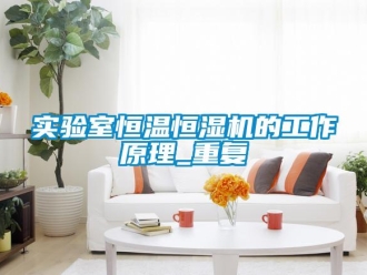 知識百科實驗室恒溫恒濕機的工作原理_重復