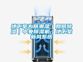 常見問題地下室為何潮濕｜如何除濕｜中央除濕機｜地下室新風系統