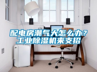 常見問題配電房潮氣大怎么辦？工業除濕機來支招
