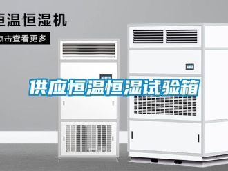 知識百科供應恒溫恒濕試驗箱