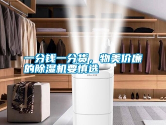 知識百科一分錢一分貨，物美價廉的除濕機要慎選