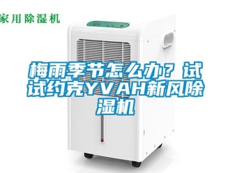 常見問題梅雨季節怎么辦？試試約克YVAH新風除濕機