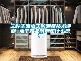 常見問題二種主流電子防潮箱技術評測 電子產品防潮箱什么原理
