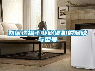 常見問題如何選擇工業除濕機的品牌與型號