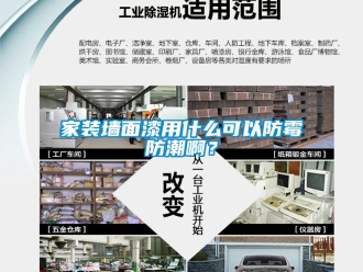 常見問題家裝墻面漆用什么可以防霉防潮??？