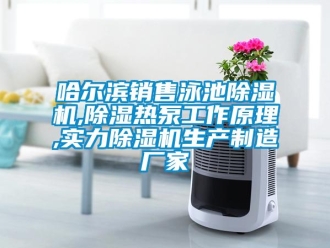 企業新聞哈爾濱銷售泳池除濕機,除濕熱泵工作原理,實力除濕機生產制造廠家