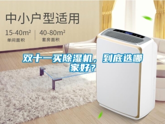 知識百科雙十一買除濕機，到底選哪家好？