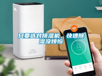知識百科只要選對除濕機，快速除濕沒煩惱