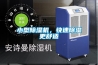小型除濕機，快速除濕更舒適
