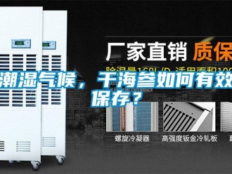 常見問題潮濕氣候，干海參如何有效保存？