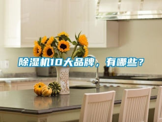企業新聞除濕機10大品牌，有哪些？