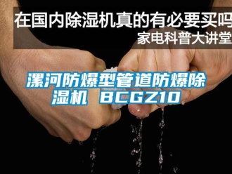 企業新聞漯河防爆型管道防爆除濕機 BCGZ10