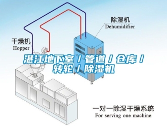常見問題湛江地下室／管道／倉庫／轉輪／除濕機