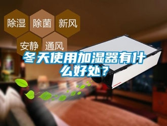 企業新聞冬天使用加濕器有什么好處？
