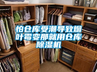 企業新聞怕倉庫受潮導致煙葉霉變那就用倉庫除濕機