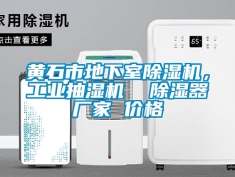 企業新聞黃石市地下室除濕機，工業抽濕機  除濕器廠家 價格