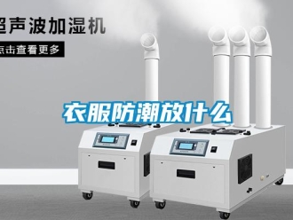 知識百科衣服防潮放什么