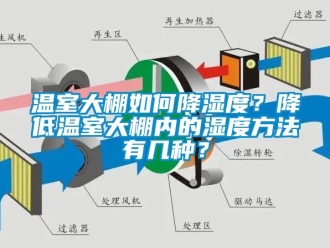 企業新聞溫室大棚如何降濕度？降低溫室大棚內的濕度方法有幾種？