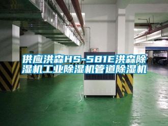 常見問題供應洪森HS-581E洪森除濕機工業除濕機管道除濕機