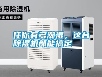 行業新聞任你有多潮濕，這臺除濕機都能搞定
