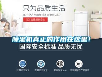 行業新聞除濕機真正的作用在這里！