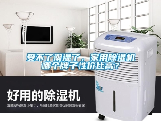 常見問題受不了潮濕了，家用除濕機哪個牌子性價比高？