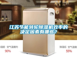 行業新聞江蘇節能轉輪除濕機效率的決定因素有哪些？