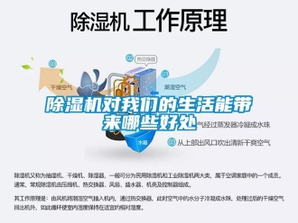 行業新聞除濕機對我們的生活能帶來哪些好處