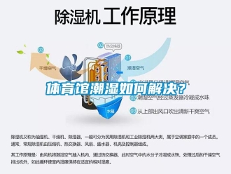 常見問題體育館潮濕如何解決？
