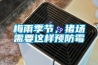 梅雨季節，豬場需要這樣預防霉
