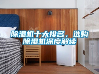 行業新聞除濕機十大排名，選購除濕機深度解讀