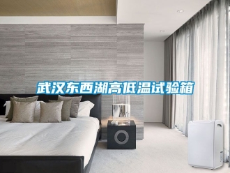 常見問題武漢東西湖高低溫試驗箱