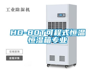 常見問題HD-80T可程式恒溫恒濕箱專業