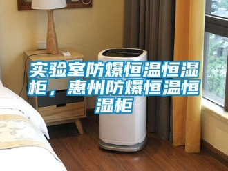 知識百科實驗室防爆恒溫恒濕柜，惠州防爆恒溫恒濕柜