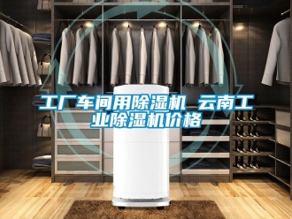 常見問題工廠車間用除濕機 云南工業除濕機價格