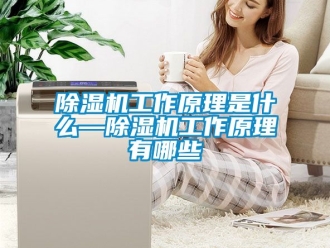 行業新聞除濕機工作原理是什么—除濕機工作原理有哪些