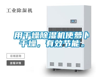 知識百科用干燥除濕機使蘿卜干燥，有效節能。