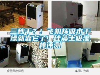 企業新聞三秒干？! 飛機杯吸水干燥就靠它了! 硅藻土吸濕棒評測