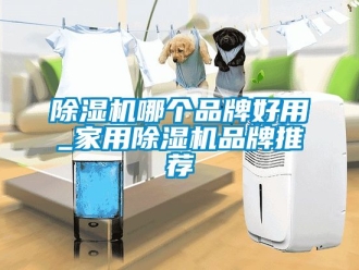 企業新聞除濕機哪個品牌好用_家用除濕機品牌推薦