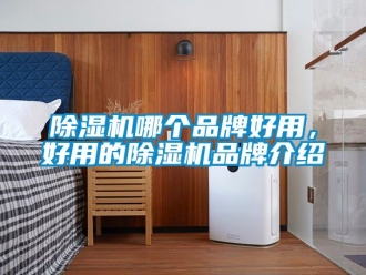 企業新聞除濕機哪個品牌好用，好用的除濕機品牌介紹
