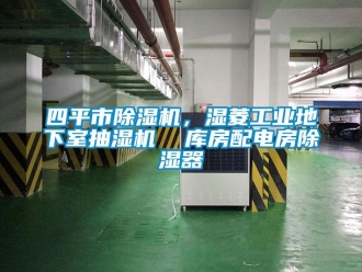 常見問題四平市除濕機，濕菱工業地下室抽濕機  庫房配電房除濕器