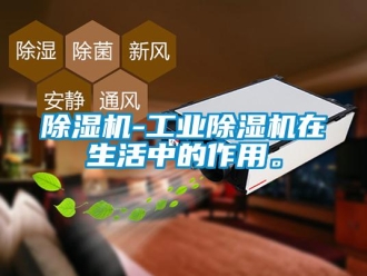 常見問題除濕機-工業除濕機在生活中的作用。