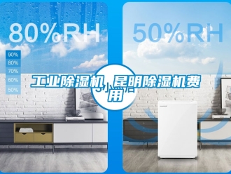 常見問題工業除濕機 昆明除濕機費用