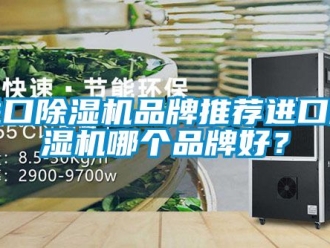 企業新聞進口除濕機品牌推薦進口除濕機哪個品牌好？