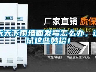 常見問題天天下雨墻面發霉怎么辦，試試這些妙招！